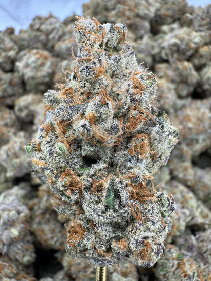 THCA Flower: Sheesh | Indoor Top Cut Exotic
