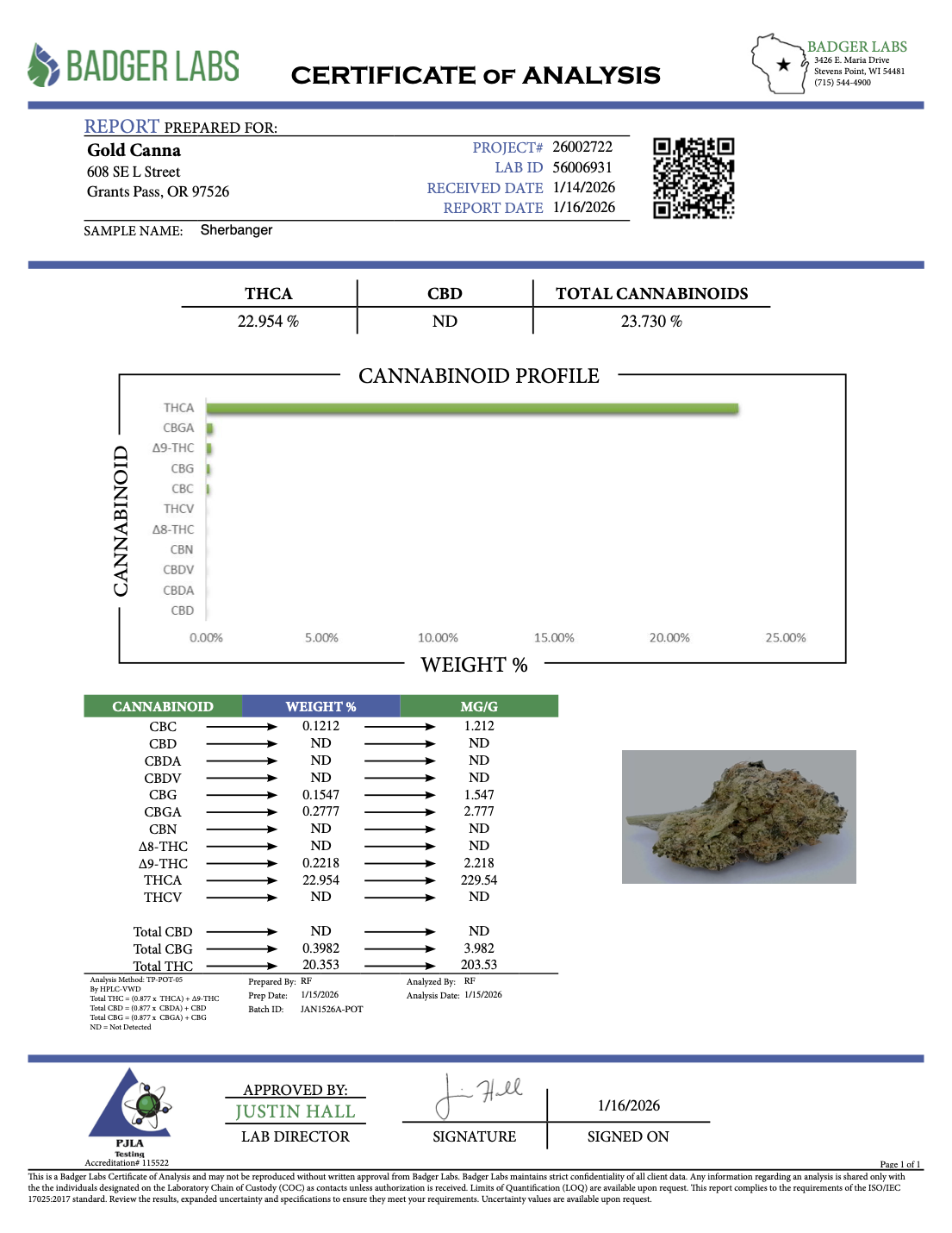 THCA Flower: Sherbanger | Sungrown Gold Nuggets