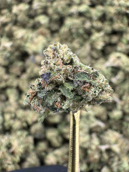 THCA Flower: Sherbanger | Sungrown Gold Nuggets