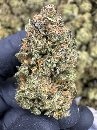 THCA Flower: Slurricane X Grease Monkey | Sungrown Top Cut