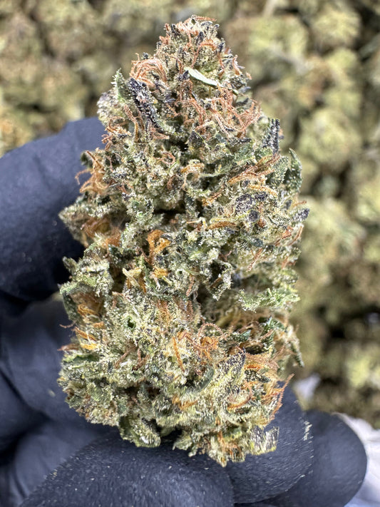 THCA Flower: Slurricane X Grease Monkey | Sungrown Top Cut