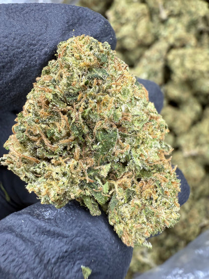 THCA Flower: Sour Gary | Greenhouse Top Cut