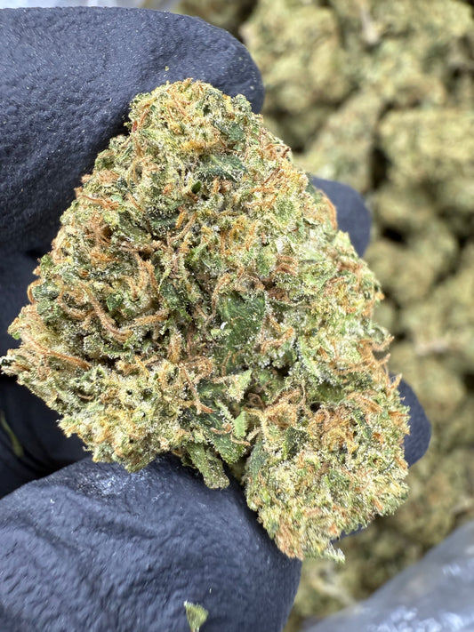 THCA Flower: Sour Gary | Greenhouse Top Cut