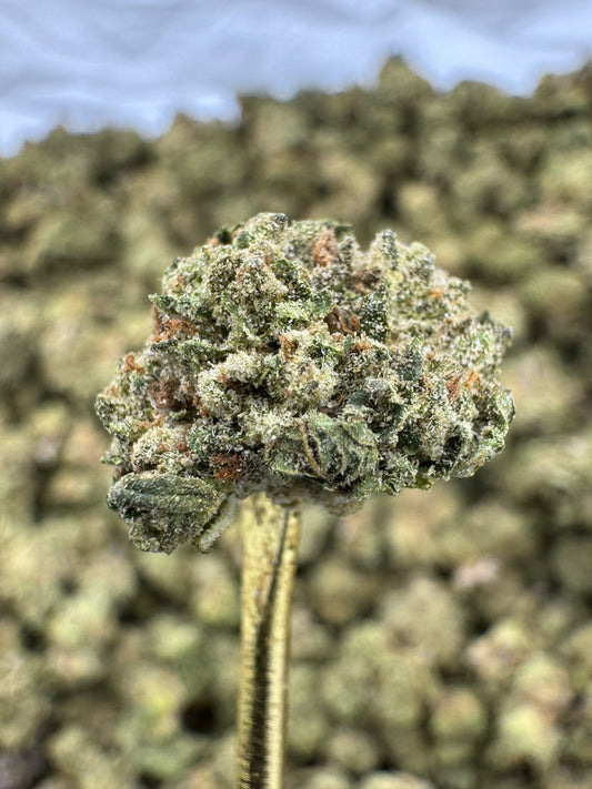 THCA Flower: Spritzer | Greenhouse Gold Nuggets