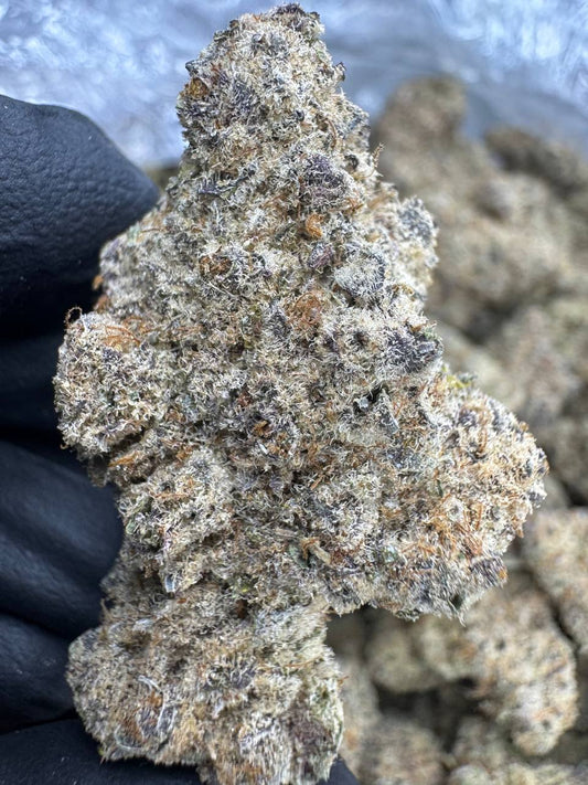 THCA Flower: Sub Zero | Indoor Top Cut Exotic