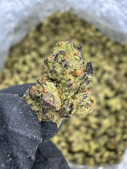 THCA Flower: Sunset Sherbet | Greenhouse Gold Nuggets