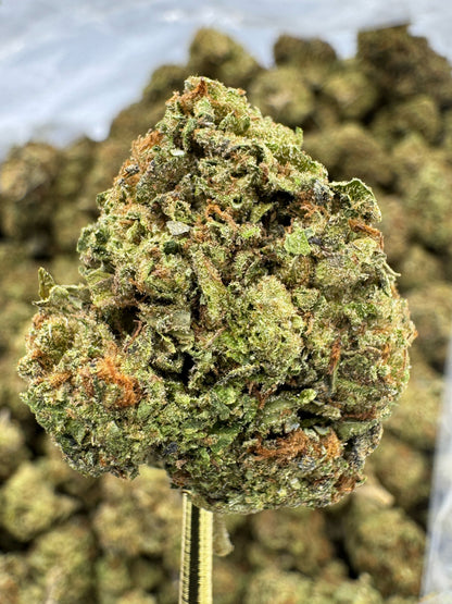 THCA Flower: Sunset Sherbet | Sungrown Top Cut