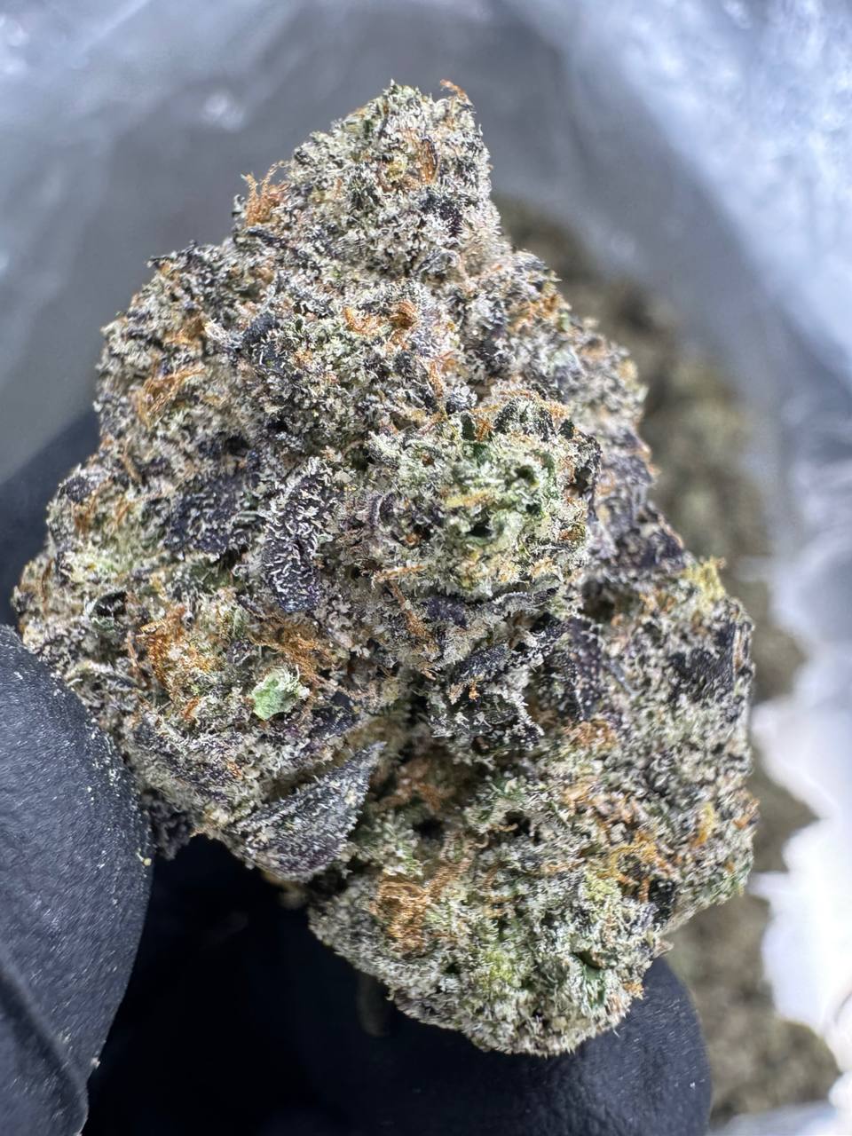 THCA Flower: Super Runtz | Indoor Top Cut Exotic