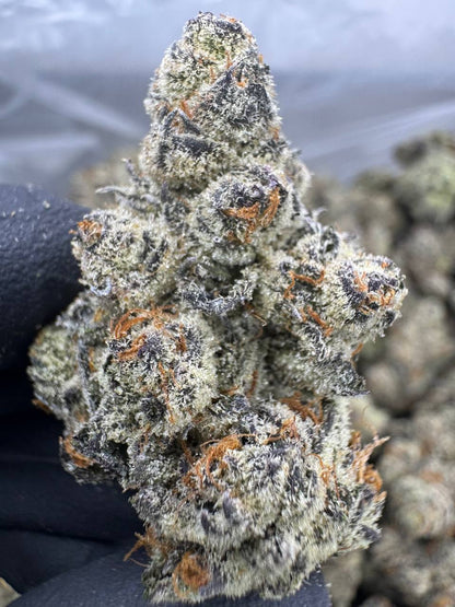 THCA Flower: Super White Truffle | Indoor Top Cut Exotic