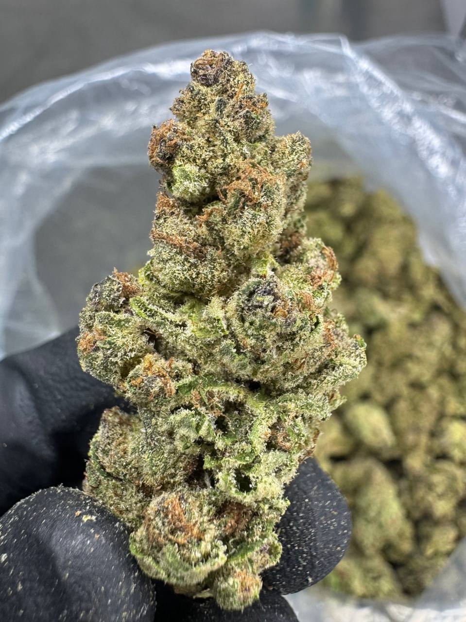 THCA Flower: Super Boof | Sungrown Top Cut