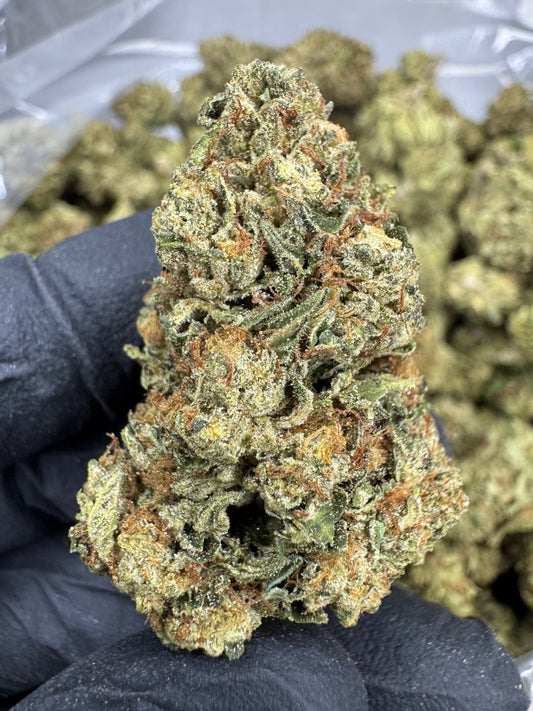 THCA Flower: Tiger Cake | Sungrown Top Cut