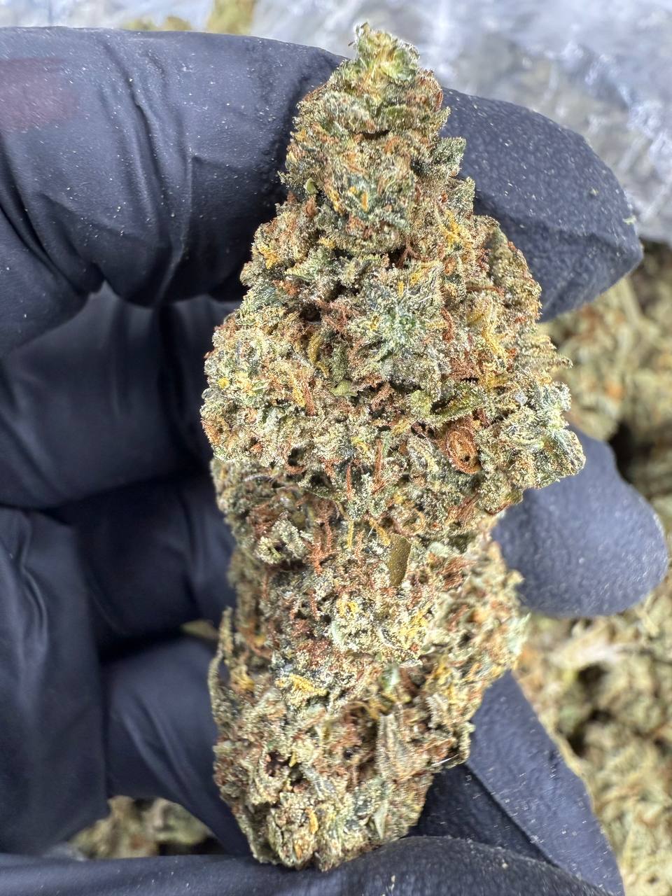 THCA Flower: Triple OG | Sungrown Top Cut