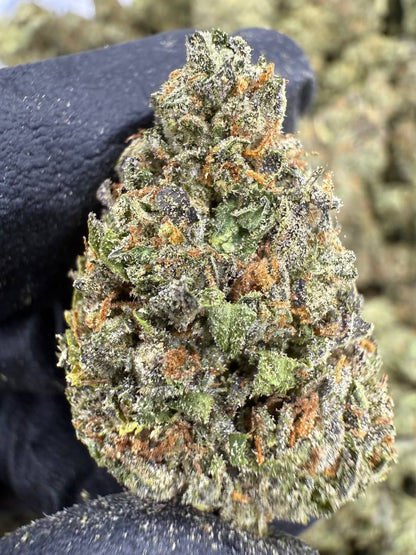 THCA Flower: Venom OG | Greenhouse Top Cut