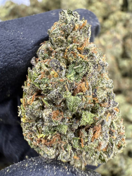 THCA Flower: Venom OG | Greenhouse Top Cut