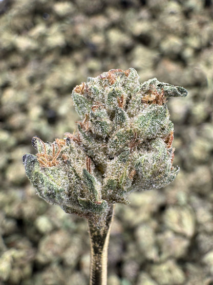 THCA Flower: Wedding Cake Greenhouse Gold Nuggets