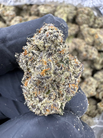 THCA Flower: White Truffle | Indoor Top Cut Exotic
