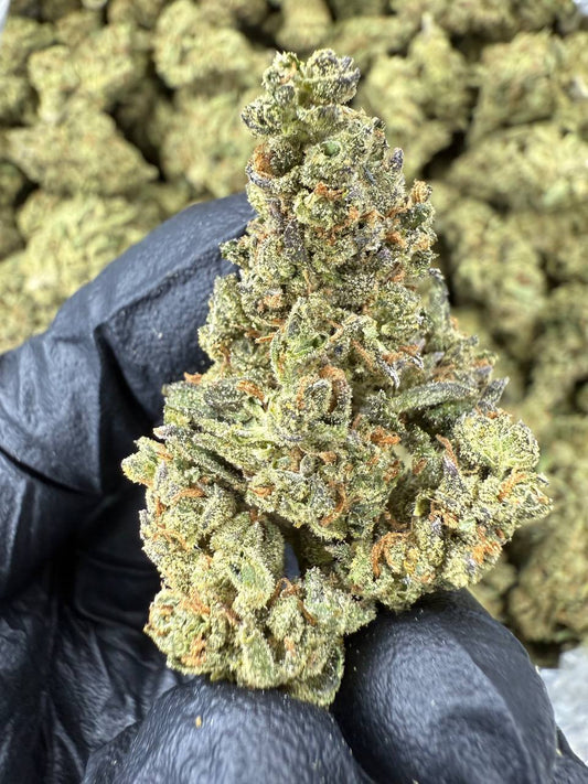 THCA Flower: White Runtz | Sungrown Top Cut