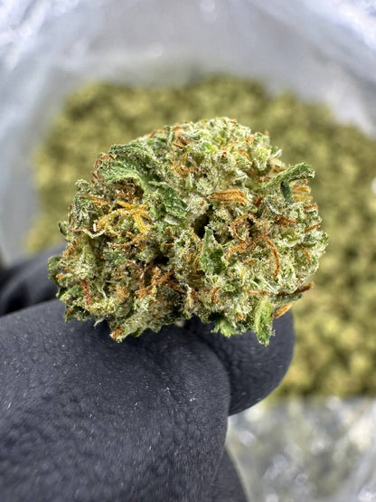 THCA Flower: White Tahoe Cookies | Greenhouse Gold Nuggets