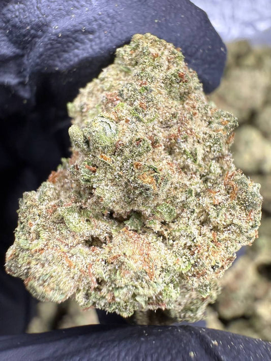 THCA Flower: White Truffle | Greenhouse Top Cut