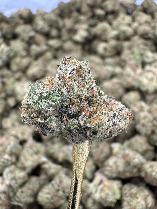 THCA Flower: Zashimi | Indoor Gold Nuggets Exotic