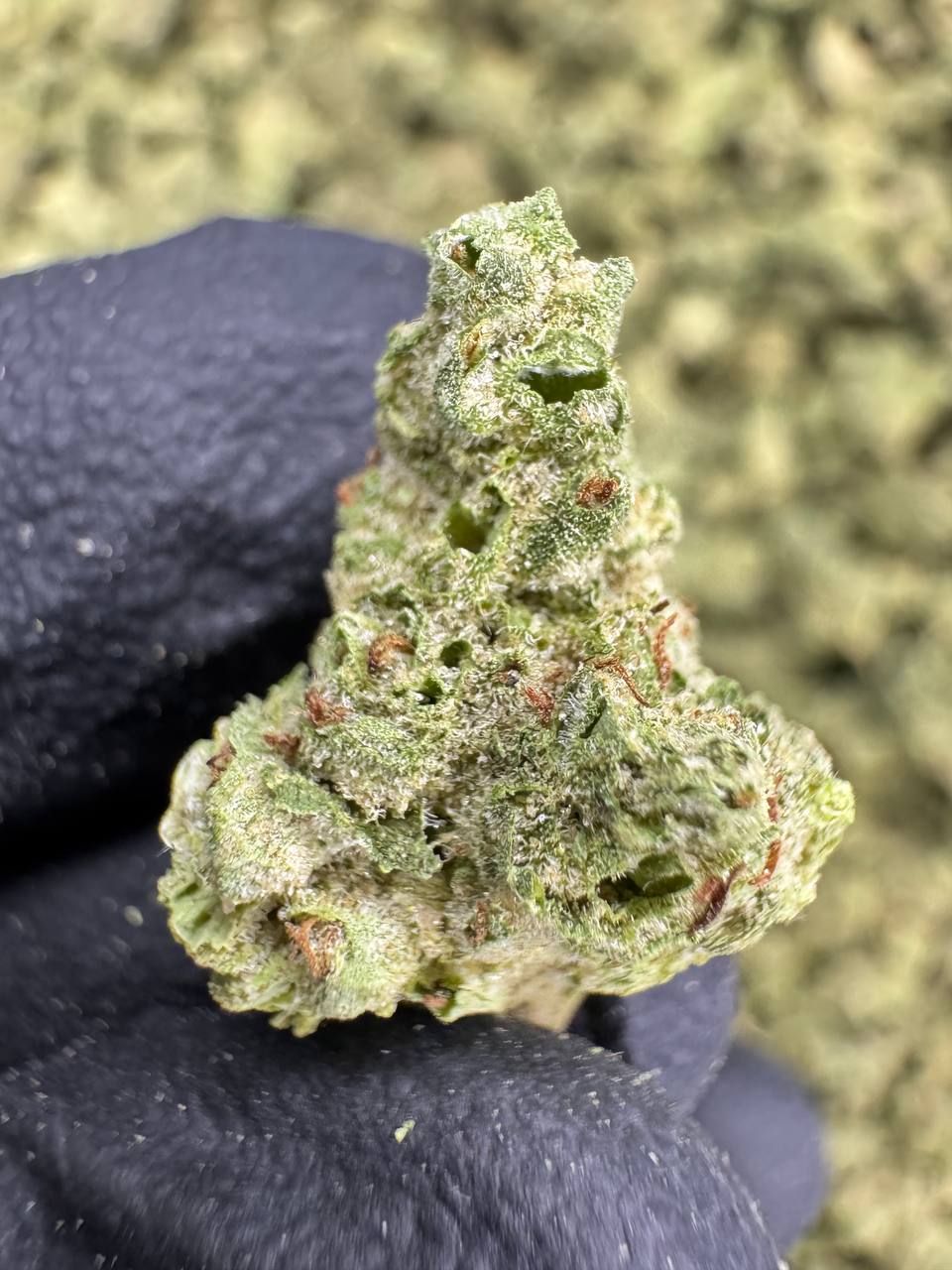 THCA Flower: Zoap | Greenhouse Gold Nuggets