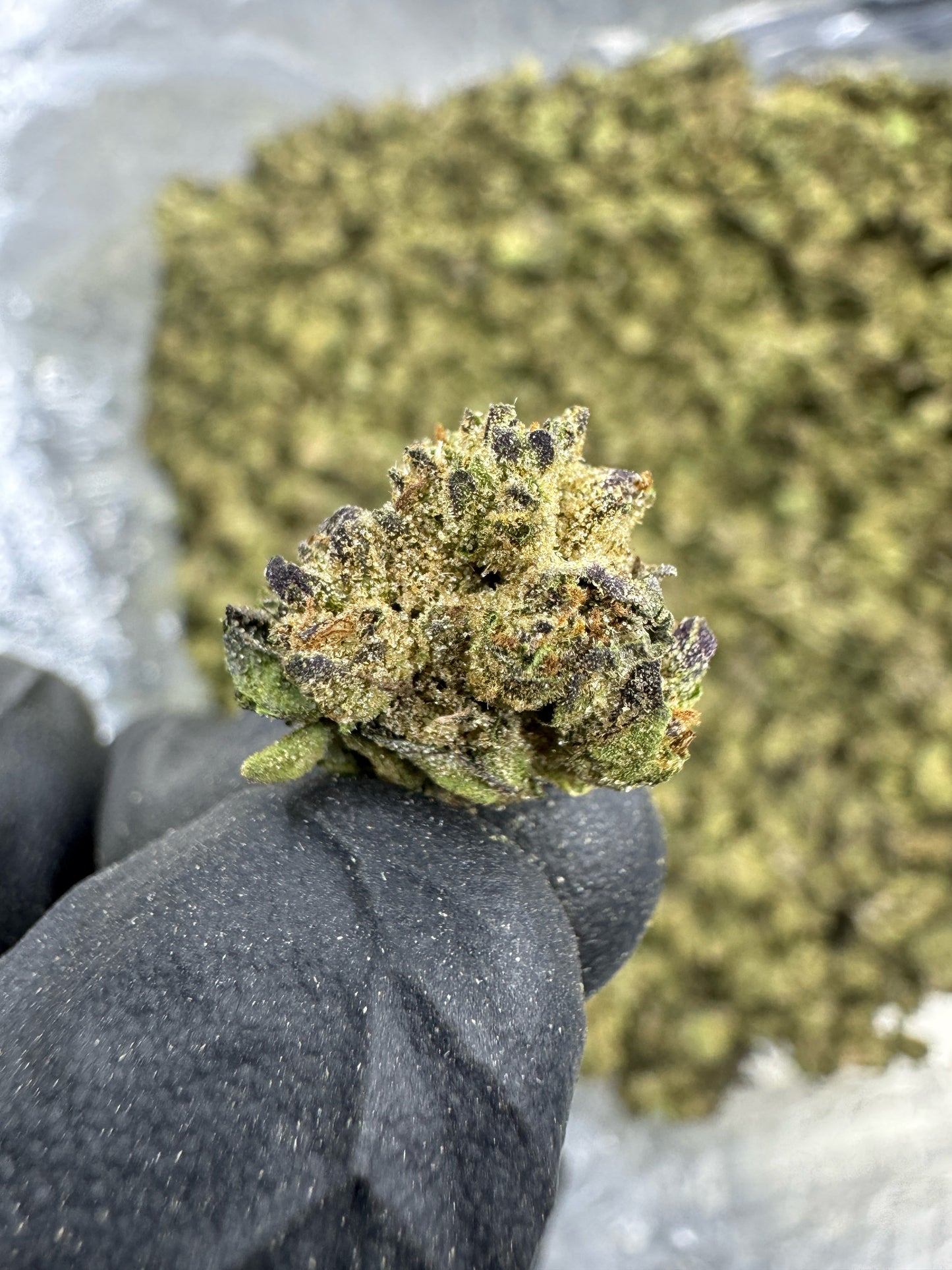 THCA Flower: Zonuts | Greenhouse Gold Nuggets