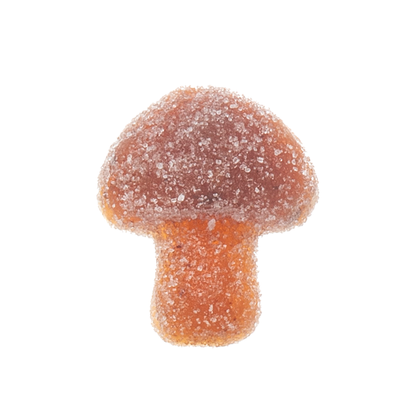 Wunder Mind Melt Mushroom Gummies 12000mg